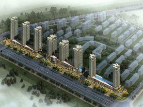 烟台开发区奇章最新爆料,揭秘奇章发展新动向